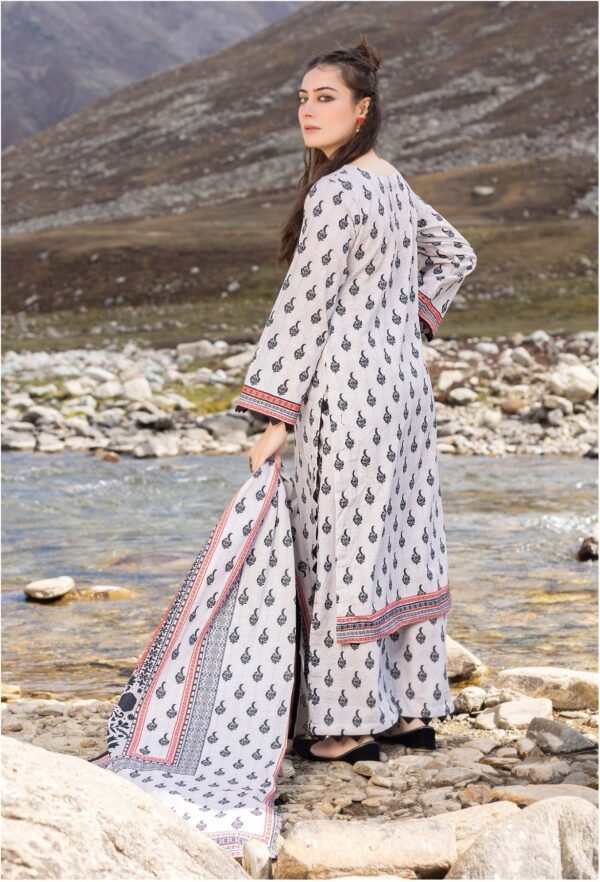 3 Piece Exclusive Printed Khaddar - Image 2