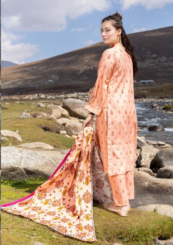 3 Piece Exclusive Printed Khaddar - Image 2