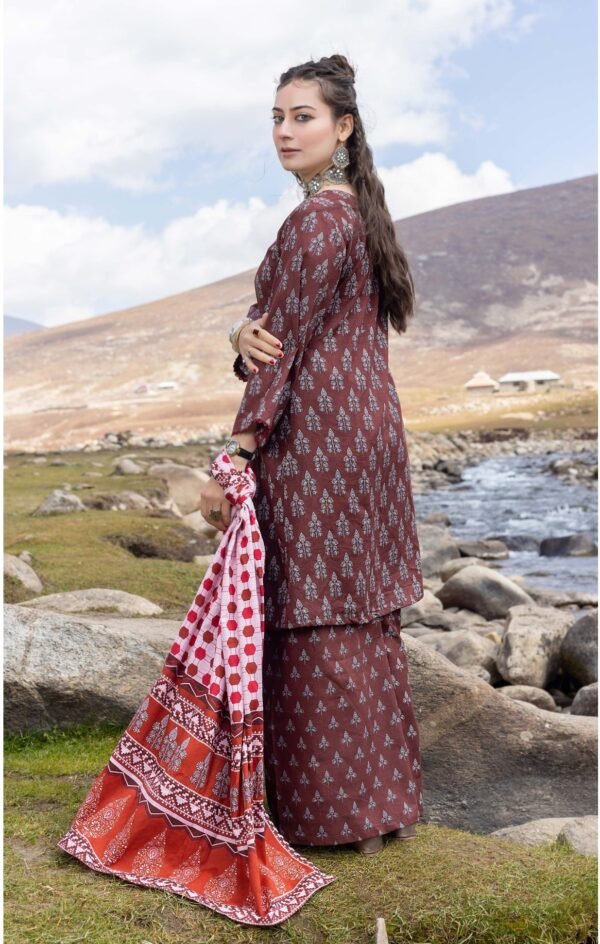 3 Piece Exclusive Printed Khaddar - Image 2
